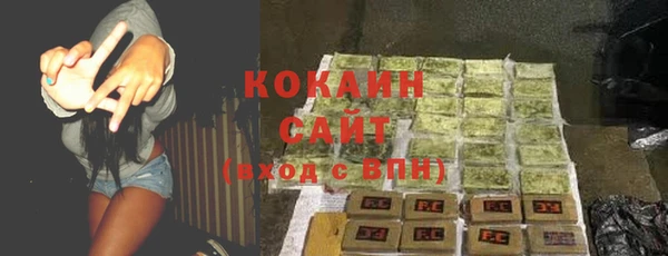 ГАЛЛЮЦИНОГЕННЫЕ ГРИБЫ Пересвет