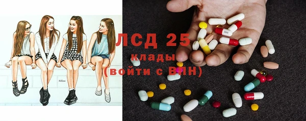 ГАЛЛЮЦИНОГЕННЫЕ ГРИБЫ Пересвет